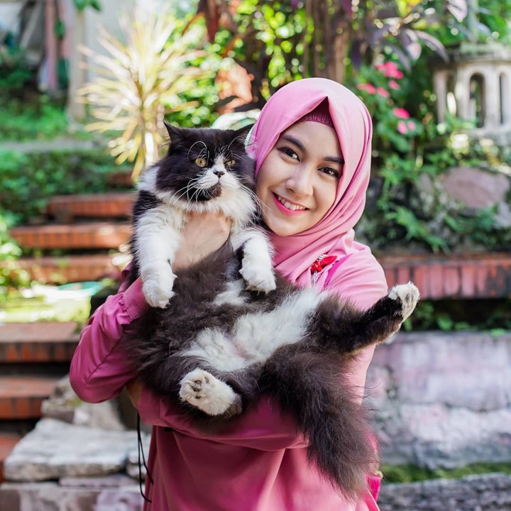 Ternyata Hewan Juga Punya Perasaan, Ini 5 Bukti Ilmiahnya